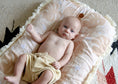 Load image into Gallery viewer, Reduced Le Palm 3D Mesh Baby Lounger
